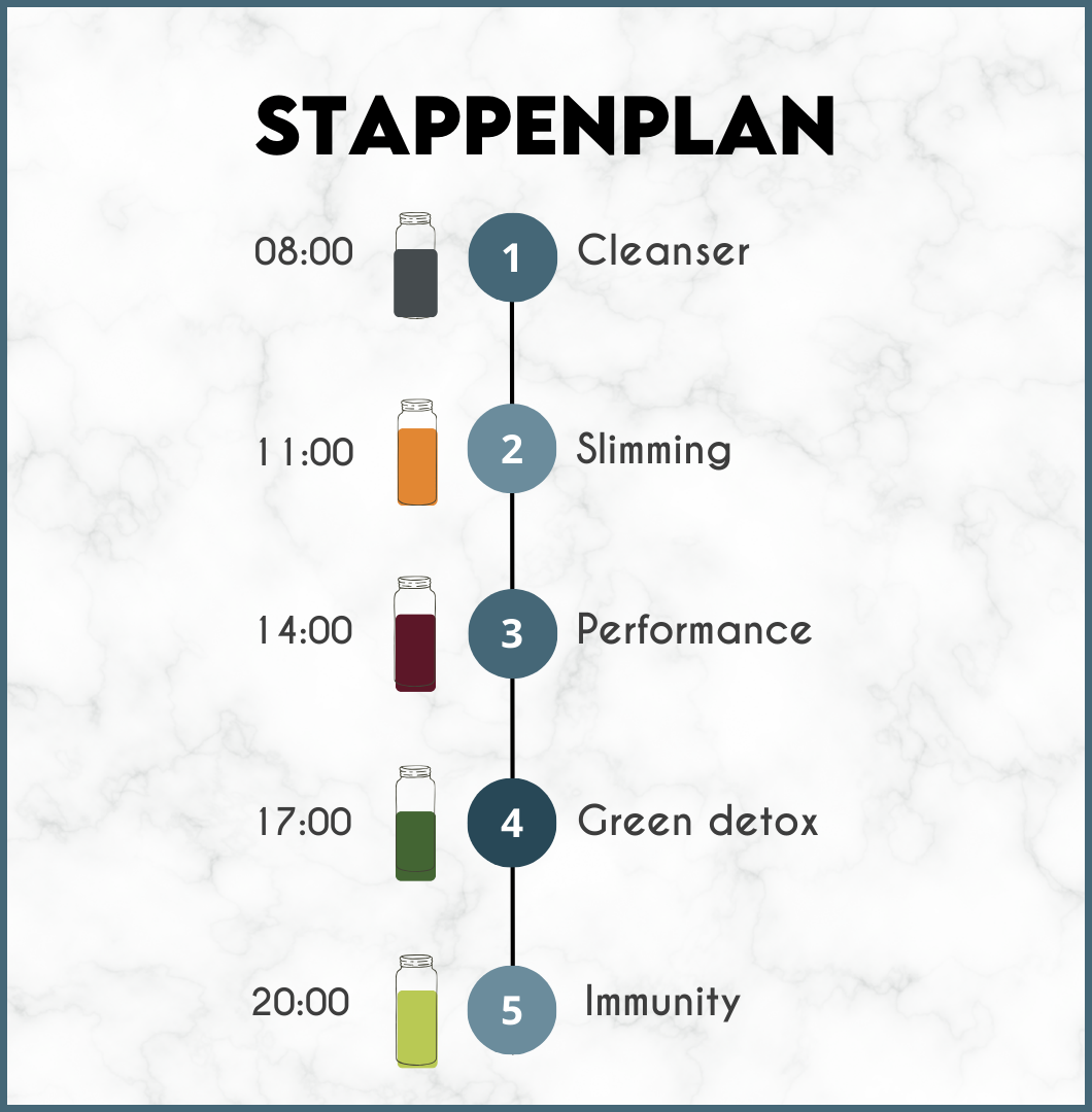 Sapkuur Detox Light 3 Dagen