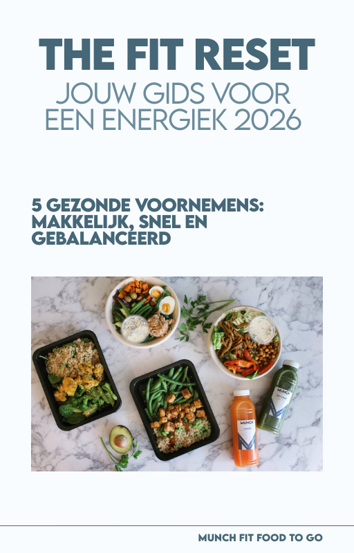 Goede voornemens e-book