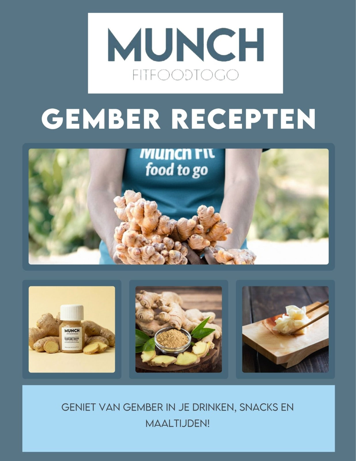 Gember recepten E-book
